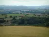 Landscapes of the Tarn - Meadow, trees, houses, fields and forests