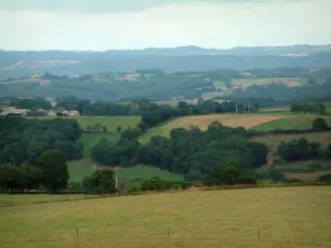 Landscapes of the Tarn - Meadow, trees, fields and forests