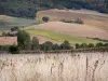 Landscapes of the Tarn-et-Garonne - Serie of rolling fields 