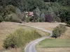 Landscapes of the Tarn-et-Garonne - Small country road surrounded by fields and trees 