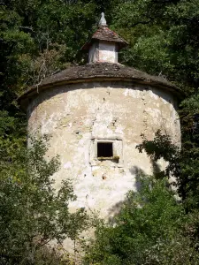 Landscapes of the Tarn-et-Garonne - Dovecote surrounded by trees