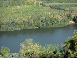 Landscapes of the Tarn-et-Garonne - View of River Garonne lined with trees