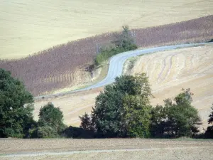 Landscapes of the Tarn-et-Garonne - Small country road surrounded by fields