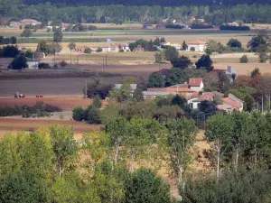 Landscapes of the Tarn-et-Garonne - Garonne valley with its houses, its fields and its trees