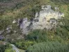 Landscapes of the Tarn-et-Garonne - Aveyron gorges: limestone cliff (rock wall) surrounded by trees