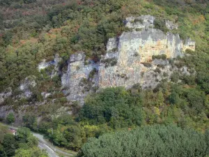 Landscapes of the Tarn-et-Garonne - Aveyron gorges: limestone cliff (rock wall) surrounded by trees
