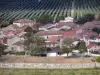 Landscapes of the Tarn-et-Garonne - Garonne valley: houses in the village of Espalais