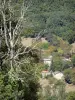 Landscapes of the Tarn-et-Garonne - Houses surrounded by trees 