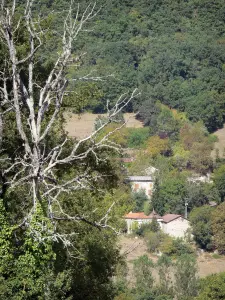 Landscapes of the Tarn-et-Garonne - Houses surrounded by trees 