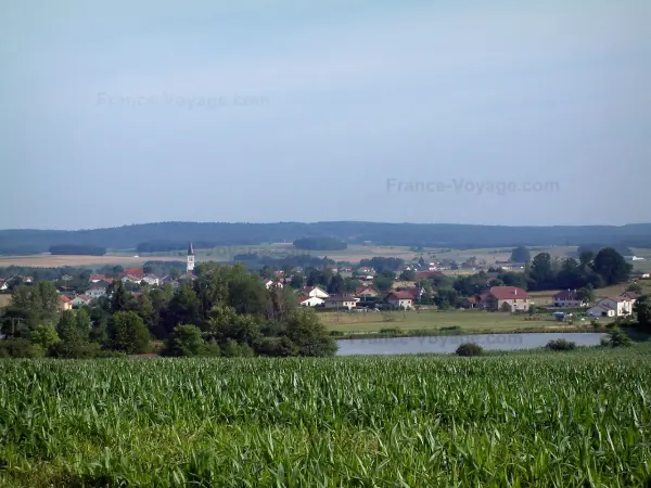 Landscapes of the Vosges - Corn fields, trees, pond, houses of a village and a forest in background