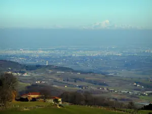 Landschaften - Weiden, Häuser und Massiv des Montblancs in der Ferne