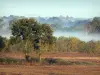 Landschaften des Anjou - Acker, Bäume, und Wald im Nebel