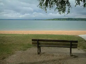 Landschaften der Aube - Blätter des Zweiges eines Baumes, und eine Bank aus Holz, mit Blick auf Sandstrand, See Orient und Wald (Regionaler Naturpark des Waldes Orient)