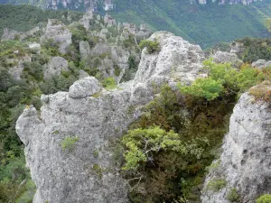 Landschaften des Aveyron - Felsansammlung von Montpellier-le-Vieux, im Regionalen Naturpark der Grands Causses: ruinenförmiges Dolomitgestein