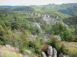 Landschaften des Aveyron - Felslandschaft von Montpellier-le-Vieux, im Regionalen Naturpark der Grands Causses: ruinenartige Felsen ïn grüner Umgebung