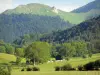 Landschaften des Béarn - Naturwiesen der Hochebene Bénou umgeben von Wäldern und Bergen