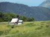 Landschaften des Béarn - Haus mit Bergblick