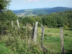 Landschaften des Bourbonnais - Montagne Bourbonnaise: Umzäunung einer Wiese und Wald im Hintergrund