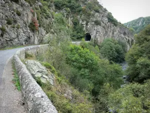 Landschaften des Bourbonnais - Schluchten Chouvigny (Schluchten der Sioule): Strasse, Tunnel, Felswände, und Fluss Sioule gesäumt von Bäumen