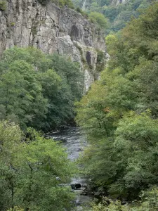 Landschaften des Bourbonnais - Schluchten Chouvigny (Schluchten der Sioule): Fluss Sioule gesäumt von Bäumen, und Felswände