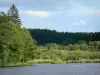 Landschaften der Bourgogne - See von Saint-Agnan (künstlicher See) und sein bewaldetes Ufer; im Regionalen Naturpark des Morvan