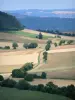 Landschaften der Bourgogne - Kleine Strasse gesäumt von Äckern