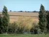 Landschaften der Charente - Bäume am Wasserrand und Felder