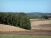 Landschaften der Charente - Felder und Bäume