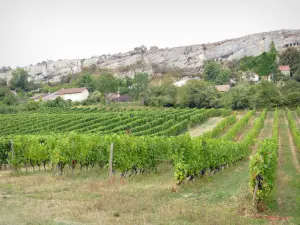 Landschaften der Côte-d'Or - Weinberge und Häuser am Fuße der Klippen von Saint-Romain und Orches