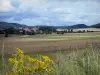 Landschaften des Doubs - Feldblumen vorne, Felder, Bäume, Dorf und Hügel