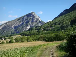 Landschaften der Drôme - Regionaler Naturpark Vercors: Feld gesäumt von Bäumen am Fuße der Berge