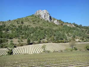 Landschaften der Drôme - Lavendelfelder im Herzen des Regionalen Naturparks Baronnies Provençales
