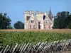 Landschaften der Gironde - Bordeaux Weinanbaugebiet: Schloss Lachesnaye, Weingut in Cussac-Fort-Médoc, und Rebstöcke vorne