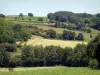 Landschaften der Gironde - Aufeinanderfolge von Bäumen und Feldern