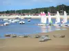 Landschaften der Gironde - Becken von Arcachon - Andernos-les-Bains: Optimisten-Jollen und Katamarane des Segelklubs, Meer und Hütten des Austern-Hafens im Hintergrund