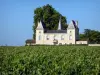Landschaften der Gironde - Bordeaux Weinanbaugebiet: Schloss Abel Laurent und Weinreben von Margaux, im Médoc