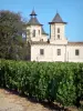 Landschaften der Gironde - Bordeaux Weinanbau: Schloss Cos d'Estournel und seine Weinreben, Weingut in Saint-Estèphe, im Médoc