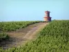 Landschaften der Gironde - Turm inmitten des Bordeaux Weinanbaus