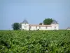 Landschaften der Gironde - Weingut im Bordeaux Weinanbaugebiet