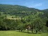 Landschaften der Haute-Garonne - Bäume, Felder und Hügel des Comminges