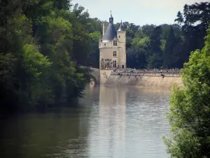 Landschaften von Indre-et-Loire - Fluss (der Cher), Turm Marques (Bergfried) des Schlosses Chenonceau und Bäume