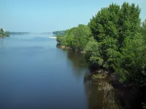 Landschaften von Indre-et-Loire - Die Vienne (Fluss) vorne, Bäume und Zusammenfluss der Loire und der Vienne im Hintergrund, in Candes-Saint-Martin