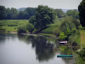 Landschaften von Indre-et-Loire - Fluss, Bäume und Vegetation