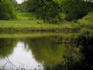 Landschaften vom Limousin - Teich, Sträucher und Wiese mit wild wachsenden Blumen bestreute Wiese(Prärie)