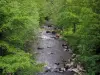 Landschaften vom Limousin - Fluss gesäumt mit Bäumen