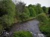 Landschaften vom Limousin - Fluss gesäumt mit Bäumen