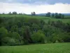 Landschaften vom Limousin - Prärie, Bäume und Wolken im Himmel