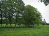 Landschaften vom Limousin - Prairie bestreut mit wild wachsenden Blumen und Bäume