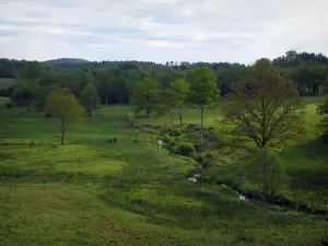 Landschaften vom Limousin - Weiden, kleiner Fluss und Bäume