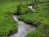 Landschaften vom Limousin - Prärie mit einem kleinen Fluss